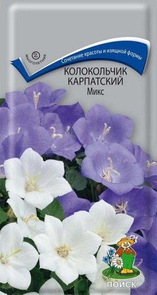 Многолетник Колокольчик карпатский Микс ЦВ Поиск