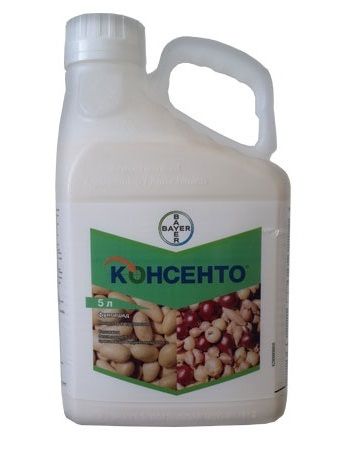 Фунгицид КОНСЕНТО / KONSENTO Bayer