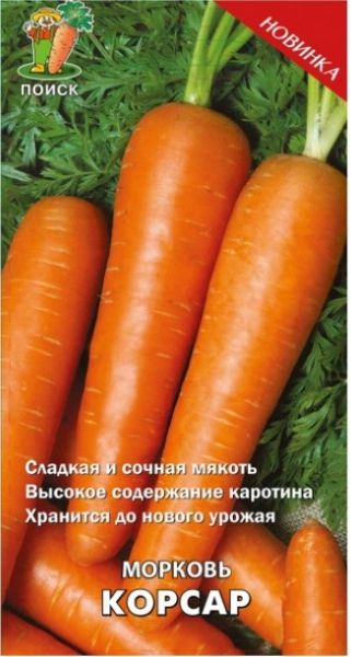 Морковь КОРСАР ЦВ Поиск