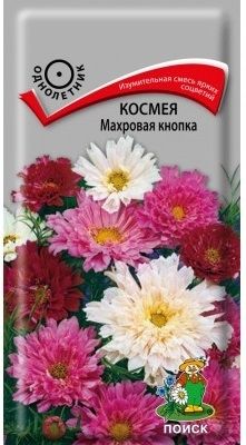 Однолетник Космея Махровая кнопка ЦВ Поиск