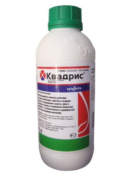 Фунгицид КВАДРИС / KVADRIS Syngenta