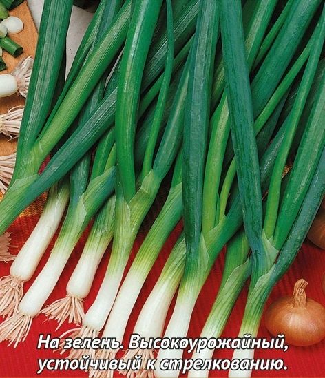 Лук Батун (на перо) ВАЛДАЙ Поиск