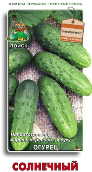 Огурец СОЛНЕЧНЫЙ ЦВ Поиск