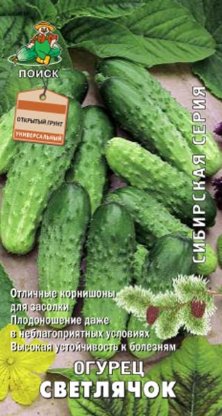 Огурец СВЕТЛЯЧОК ЦВ Поиск