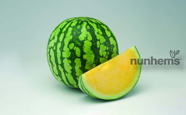Арбуз ПЕКИН F1 / PEKIN F1 Nunhems