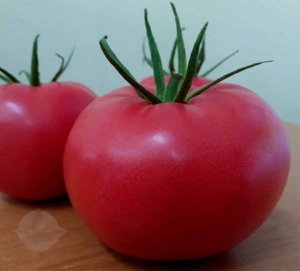 Томат ПИНК АГАТ F1 Unigen Seeds