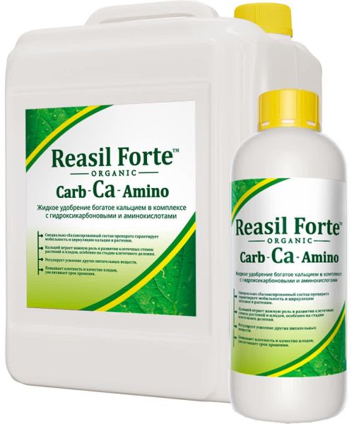 РЕАСИЛ ФОРТЕ Carb-Ca-Amino / Reasil Forte Carb-Ca-Amino Сила жизни