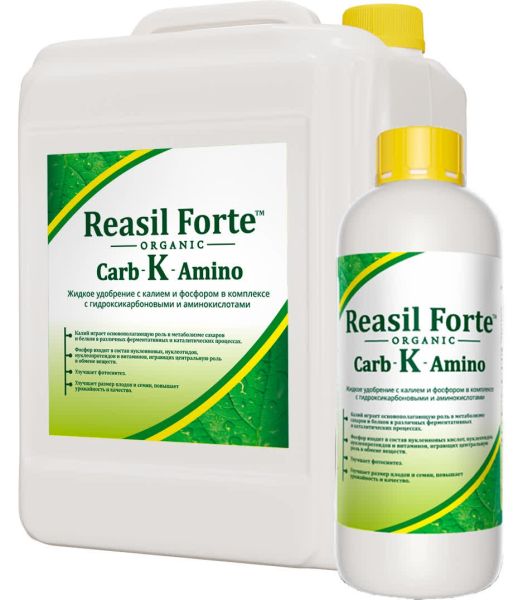 РЕАСИЛ ФОРТЕ Carb-K-Amino / Reasil Forte Carb-K-Amino Сила жизни