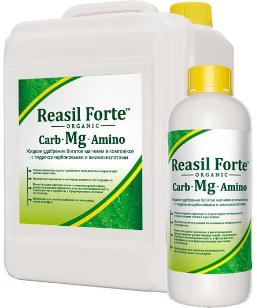 РЕАСИЛ ФОРТЕ Carb-Mg-Amino / Reasil Forte Carb-Mg-Amino Сила жизни