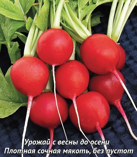 Редис МЕРКАДО Поиск