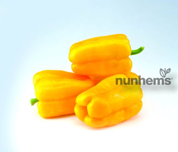 Перец сладкий РИАЛТО F1 / RIALTO F1 Nunhems