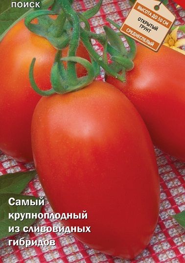 Томат РИО СПРИНТ F1 Поиск
