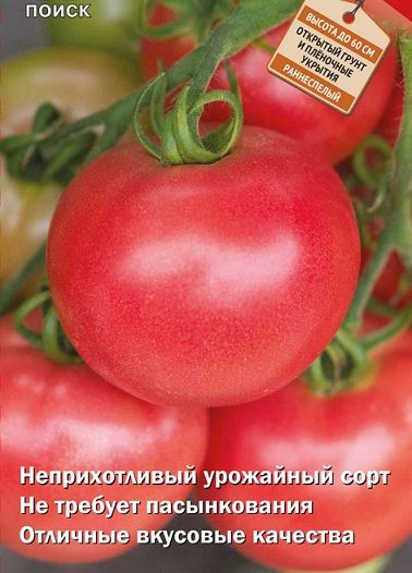 Томат РОЗАЛИНА Поиск