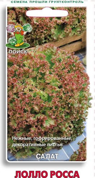 Салат листовой ЛОЛЛО РОССА Семетра Поиск