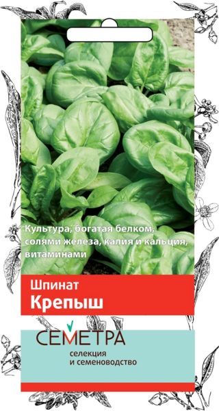 Шпинат КРЕПЫШ Семетра Поиск
