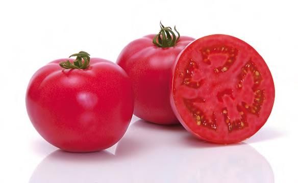 Томат ПИНК МУН F1 / PINK MUN F1 Sakata