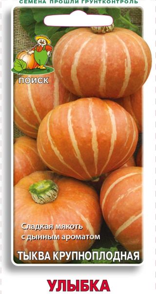 Тыква УЛЫБКА ЦВ Поиск