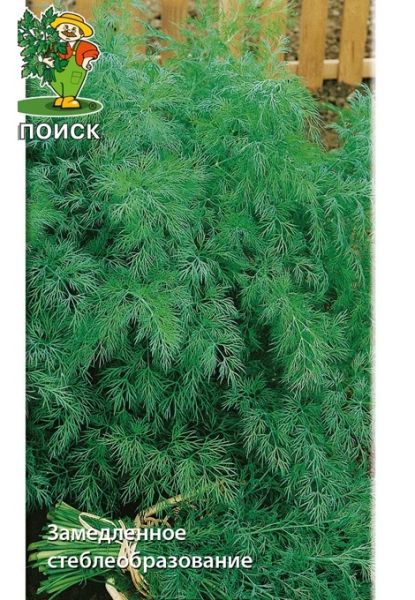 Укроп АЛЛИГАТОР Поиск