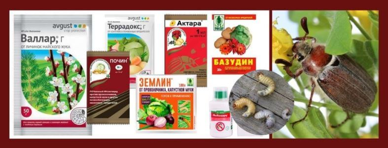 Инсектициды против майского жука