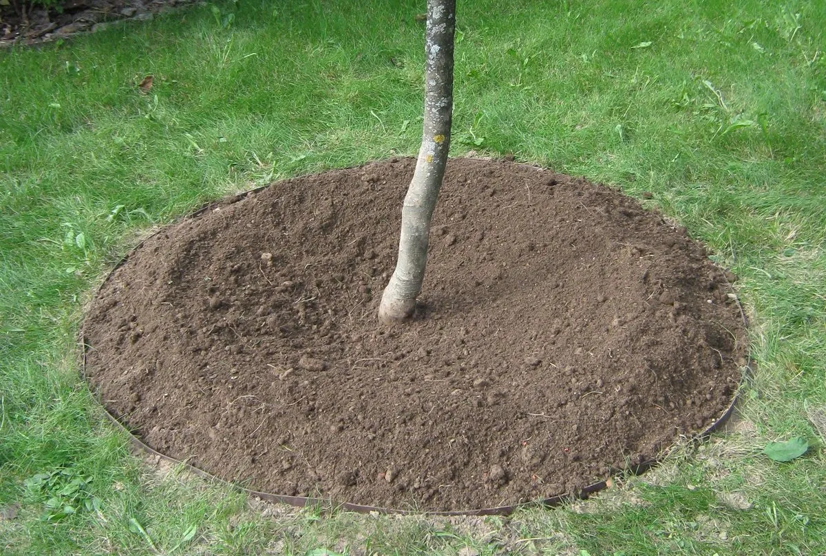 мульчирование