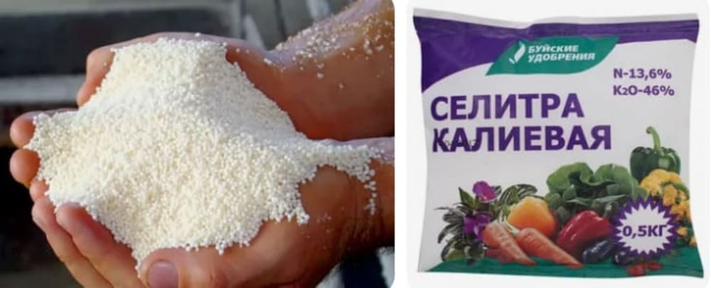 внесение калиевой селитры