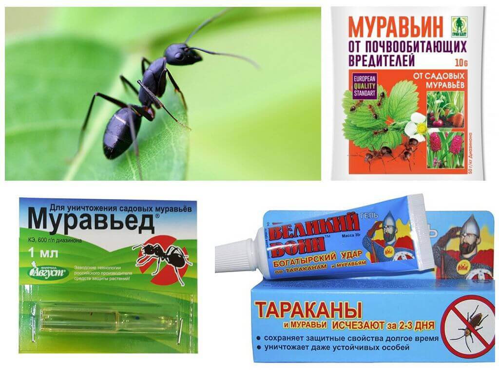 средства от муравьев
