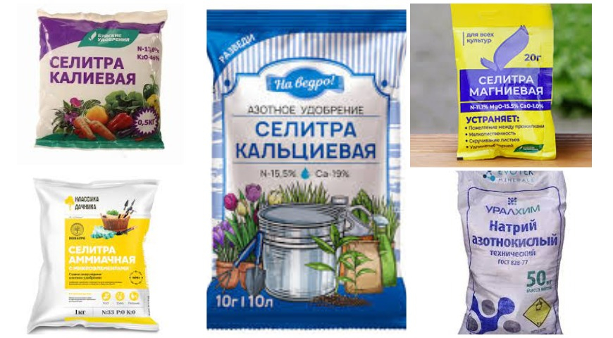 разновидности селитры