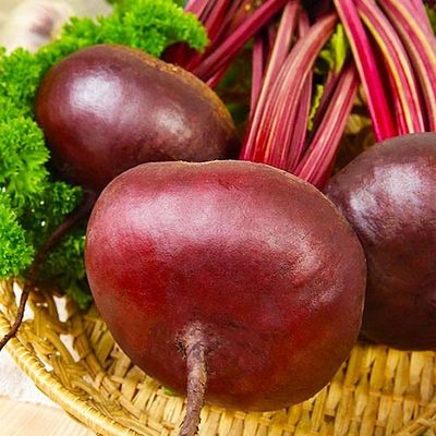 свекла египетская плоская