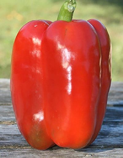 Перец Геракл